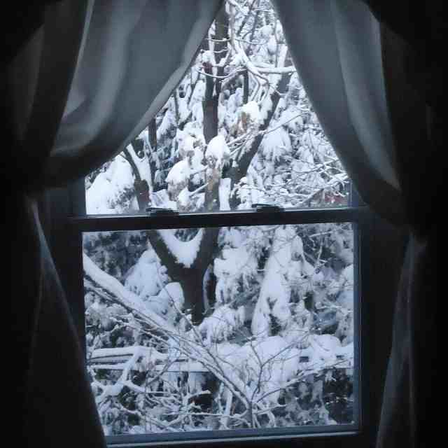 Voile Sash Curtain